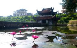 Dưới mái đền làng Gióng | Hà Nội đến để yêu | 02/11/2025
