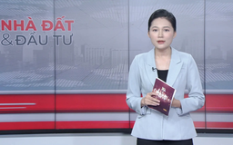 Bản tin Nhà đất và đầu tư | 02/11/2025