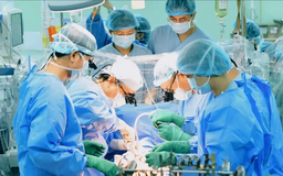 Ghép tạng Việt Nam có nhiều bước tiến vượt bậc