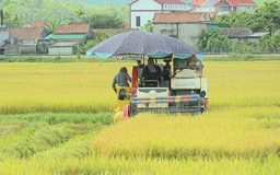 Triển khai quy định xây dựng tại vùng nông nghiệp tập trung
