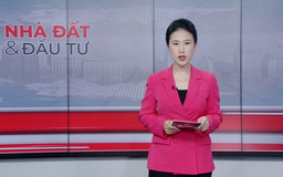 Bản tin Nhà đất và đầu tư | 21/11/2025