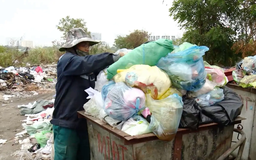 Xử phạt vi phạm trong lĩnh vực môi trường – những vấn đề cần đặt ra | Tọa đàm | 21/11/2025