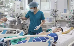 Sốt xuất huyết tăng mạnh với hơn 110 nghìn ca mắc