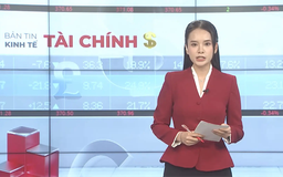 Bản tin Kinh tế Tài chính | 22/11/2025