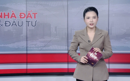 Bản tin Nhà đất và đầu tư | 22/11/2025