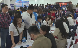 Tỉ lệ thanh niên thất nghiệp gấp 4 lần mức chung cả nước