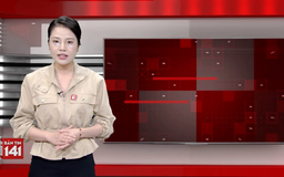 Bản tin 141 | 22/11/2025