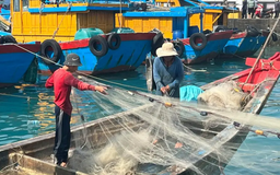 Việt Nam nỗ lực gỡ thẻ vàng IUU