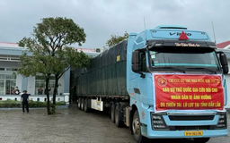 Xuất cấp 4.000 tấn gạo dự trữ quốc gia cho Gia Lai, Đắk Lắk, Lâm Đồng