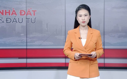 Bản tin Nhà đất và đầu tư | 23/11/2025