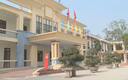 Hà Nội tập trung xử lý nhà, đất và tài sản công