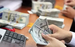 Mua bán ngoại tệ trái phép | Vấn đề kinh tế | 11/11/2025