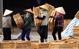 Phượng Dực đổi mới phát triển làng nghề | Nông nghiệp nông thôn | 20/11/2025
