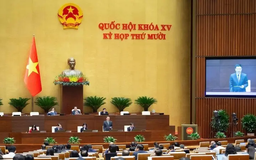 Đề nghị siết chặt việc định giá tài sản trí tuệ