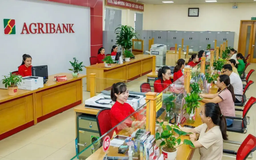 Giảm lãi suất cho khách hàng bị thiệt hại do mưa lũ
