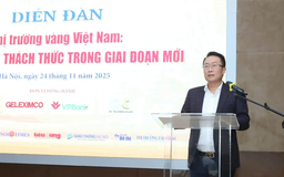 Cần sớm hướng dẫn chính sách quản lý vàng