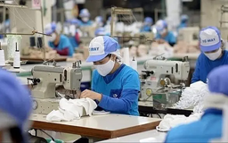Xuất khẩu dệt may về đích thấp hơn kế hoạch