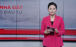 Bản tin Nhà đất và đầu tư | 25/11/2025