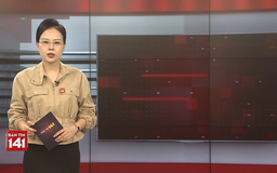 Bản tin 141 | 25/11/2025
