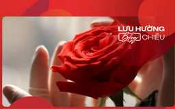 Nhành hồng đỏ giữ lại trong tim
