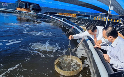 Bảo vệ môi trường trong các hoạt động thủy sản 2025