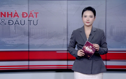 Bản tin Nhà đất và đầu tư | 26/11/2025