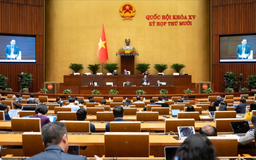 Cân nhắc lập văn phòng đại diện UBND cấp tỉnh tại nước ngoài