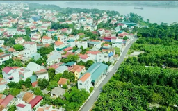 Báo cáo kết quả làm giàu, làm sạch dữ liệu đất đai