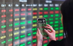 VN-Index tăng gần 4 điểm dù thanh khoản giảm