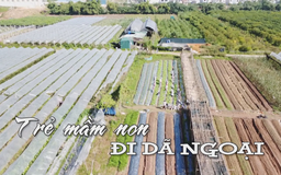 Trẻ mầm non đi dã ngoại | Nhịp sống Hà Nội | 23/11/2025