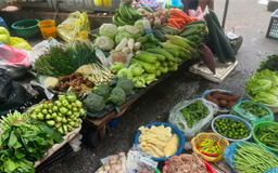 Hà Nội trong 'cơn sốt' giá rau xanh