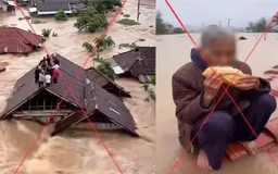 Ngăn chặn vấn nạn tin giả do AI tạo ra