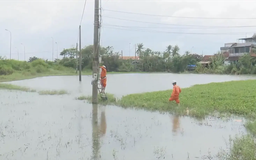 Khôi phục điện, đường, trường, trạm ở vùng lũ Đắk Lắk