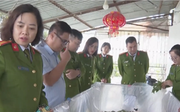 Hỗ trợ hòa nhập cộng đồng cho người sau cai nghiện
