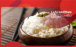 Ký ức… cơm nguội