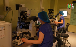 Kỹ thuật IVF thêm cơ hội cho gia đình hiếm muộn | Sức khỏe cộng đồng  | 28/11/2025