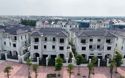 Vì sao nói đầu cơ nhà đất vẫn phổ biến?