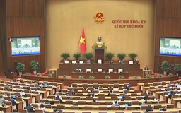 Đẩy mạnh phân cấp, phân quyền trong quy hoạch đô thị, nông thôn