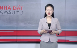 Bản tin Nhà đất và đầu tư | 29/11/2025