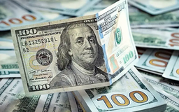 Đồng USD giảm giá mạnh nhất kể từ cuối tháng 7/2025