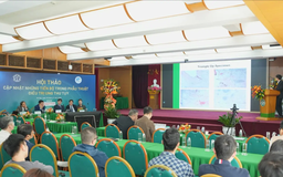 Tiến bộ mới trong phẫu thuật điều trị ung thư tuỵ
