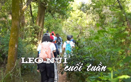 Leo núi cuối tuần | Nhịp sống Hà Nội | 29/11/2025
