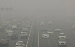Ấn Độ: Sương mù dày đặc bao trùm thủ đô New Delhi