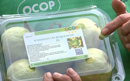 Giá trị từ thương hiệu OCOP | Mỗi xã một sản phẩm | 03/11/2025