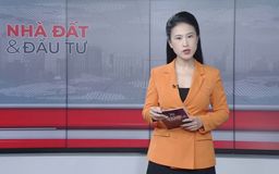 Bản tin Nhà đất và đầu tư | 03/11/2025