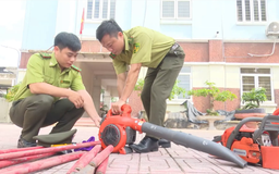 Hoạt động của các đội kiểm lâm cơ động | Tạp chí Kiểm lâm | 01/11/2025