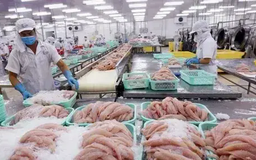 Xuất khẩu thủy sản hướng tới mốc 11 tỷ USD năm 2025