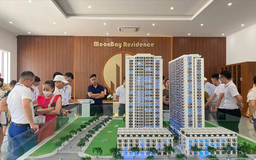 Hải Phòng yêu cầu thu hồi NƠXH bán sai đối tượng
