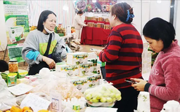 Tiếp sức vốn cho tiểu thương nhập hàng phục vụ mùa Tết