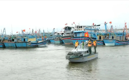 Khánh Hòa chủ động ứng phó bão số 15